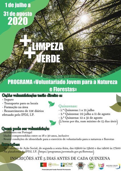 _limpeza__verde