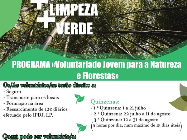 _limpeza__verde