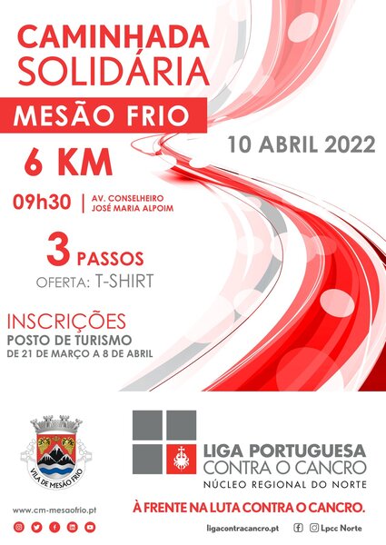 modelo_cartaz_caminhadas_solidarias_2022_final_c