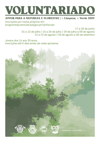 cartaz_voluntariado
