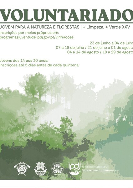 voluntariado_2025___redes_sociais_1