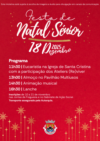 redes_sociais_festa_de_natal_senior_2025_copy