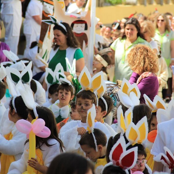 carnaval__37_