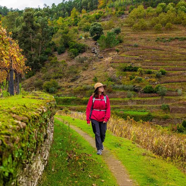 PR7 MSF-PRG - Trilho de Vila Marim