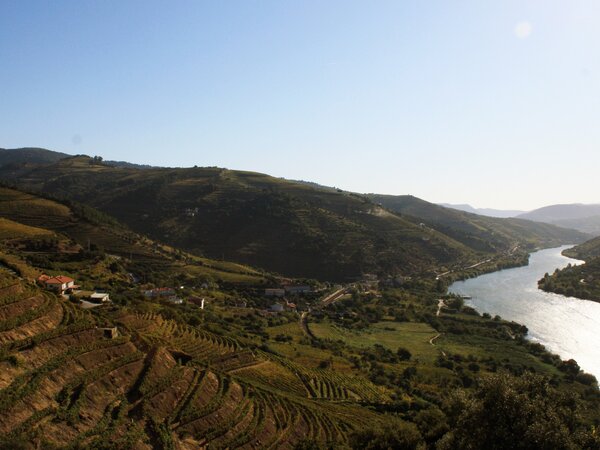 quinta_da_rede
