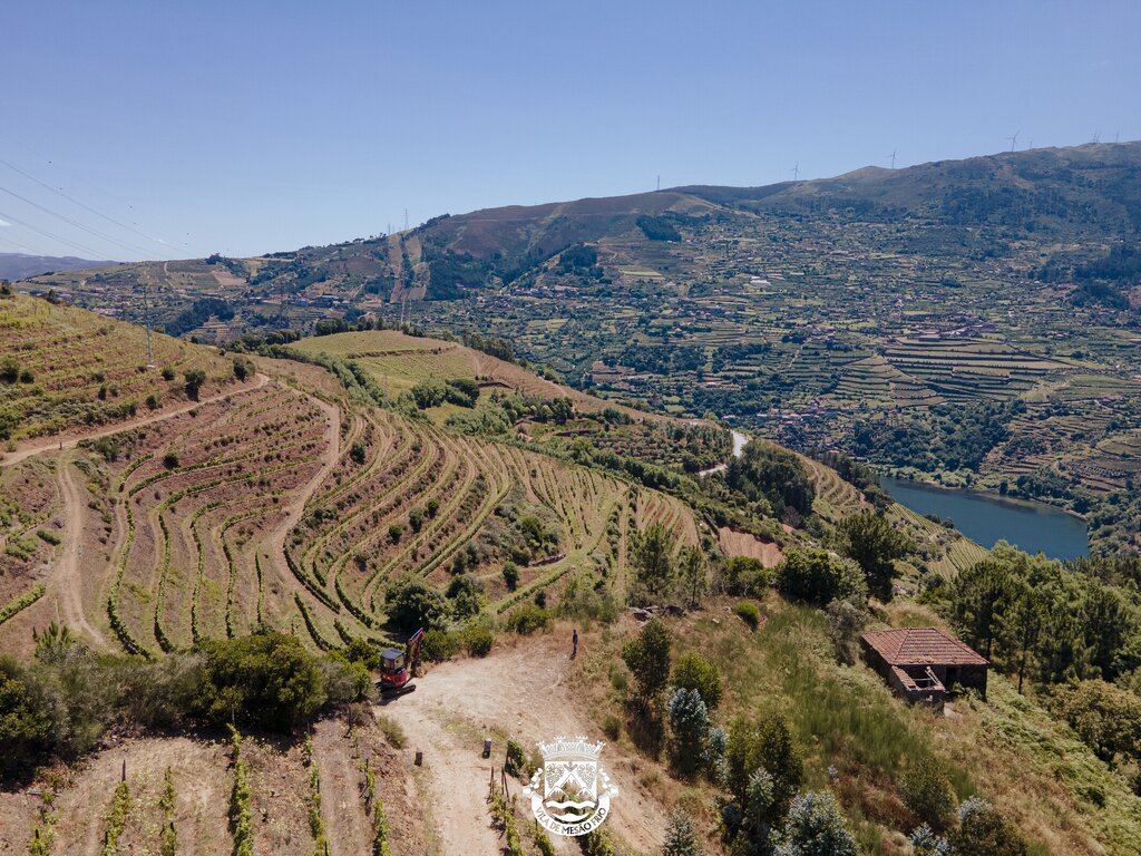 dji_0391