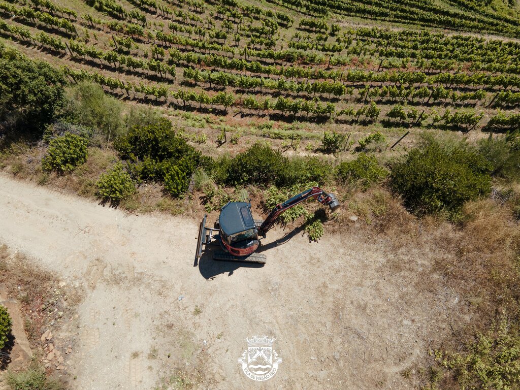 dji_0403
