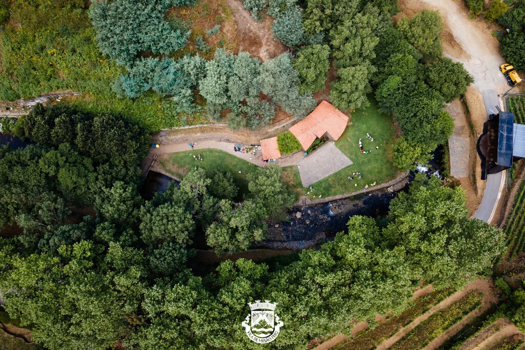 DJI_0529