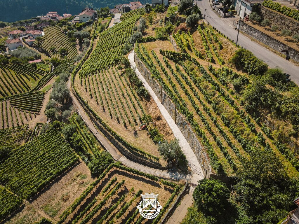 DJI_0596-2