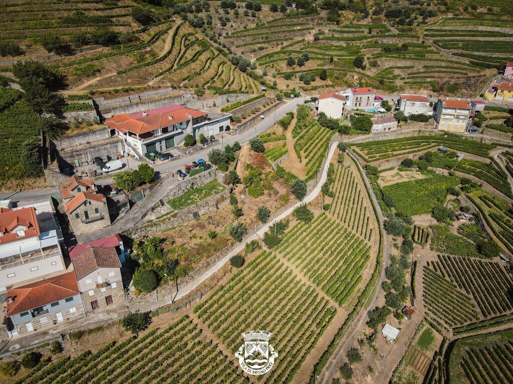 DJI_0598-2