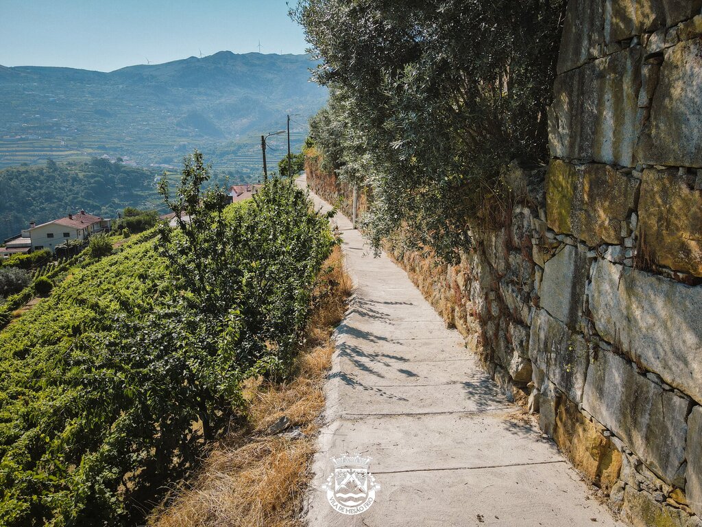 DJI_0606-2