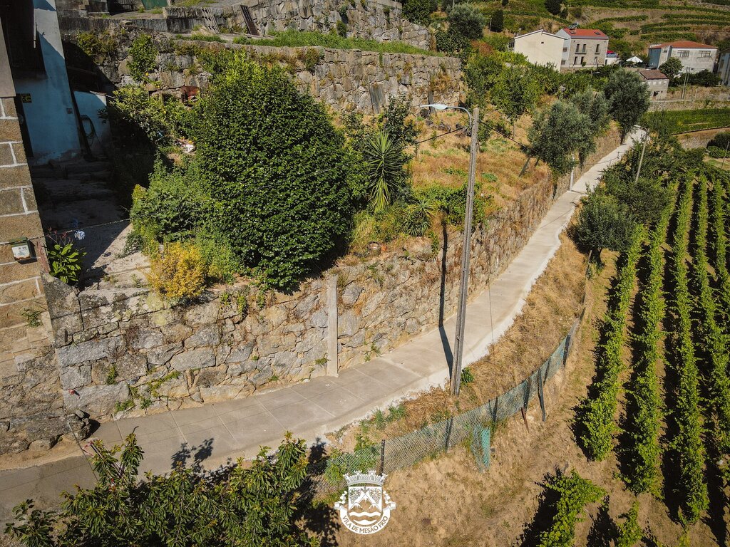 DJI_0606-3
