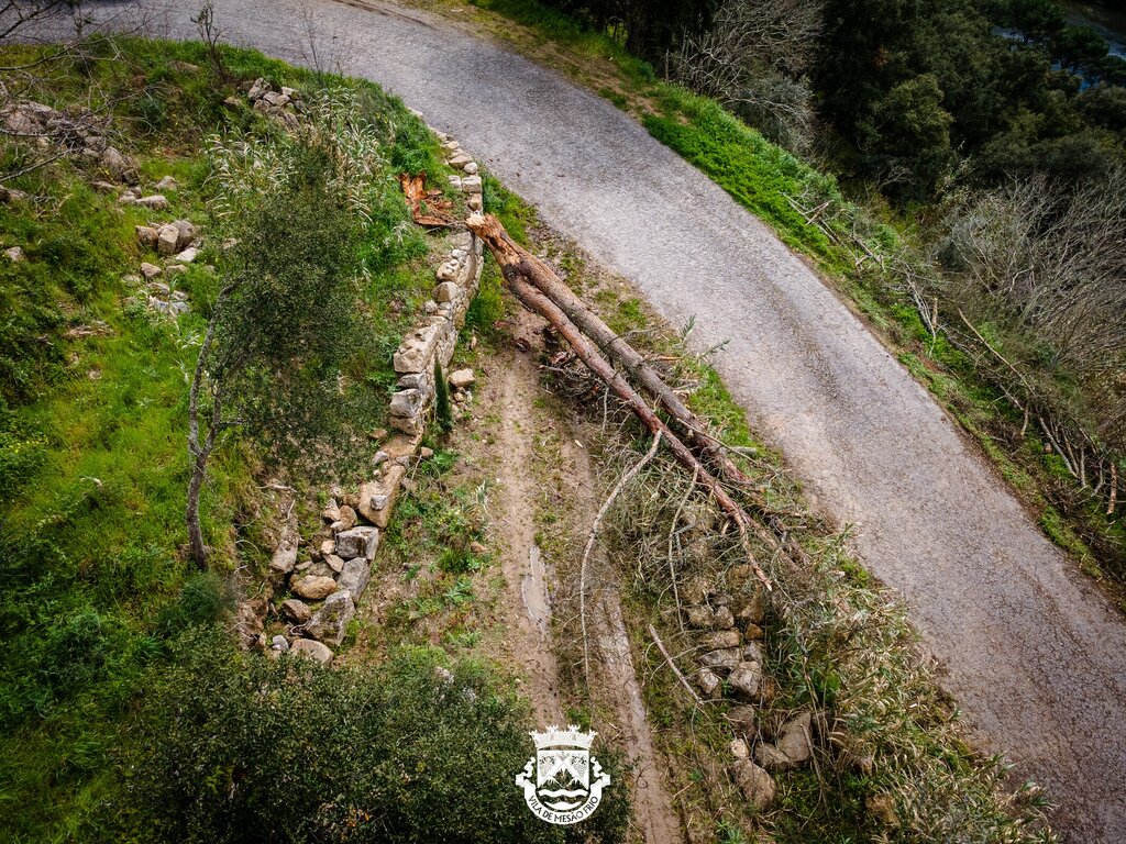 DJI_0177