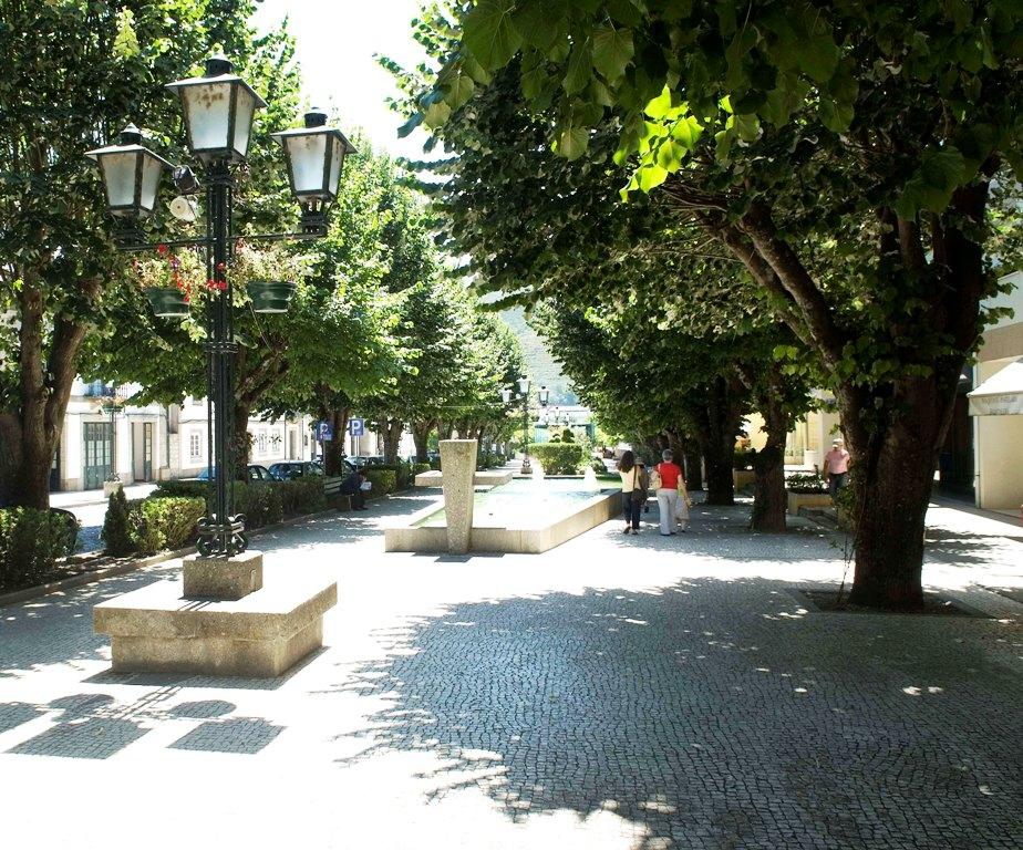 Avenida