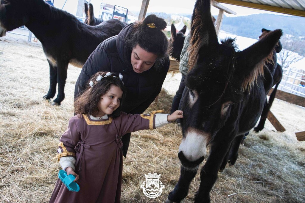 IMG_5908-Enhanced-NR