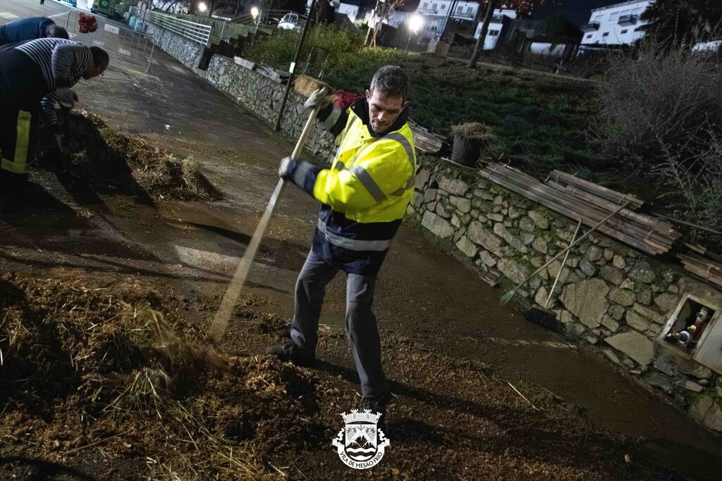 IMG_5956-Enhanced-NR