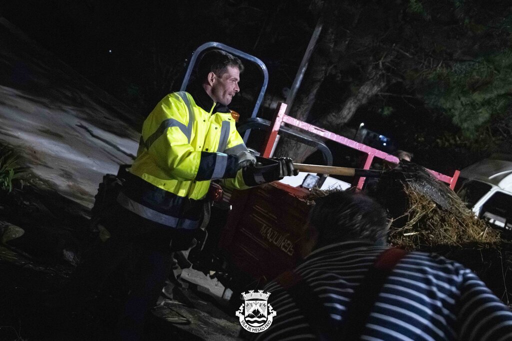 IMG_5998-Enhanced-NR