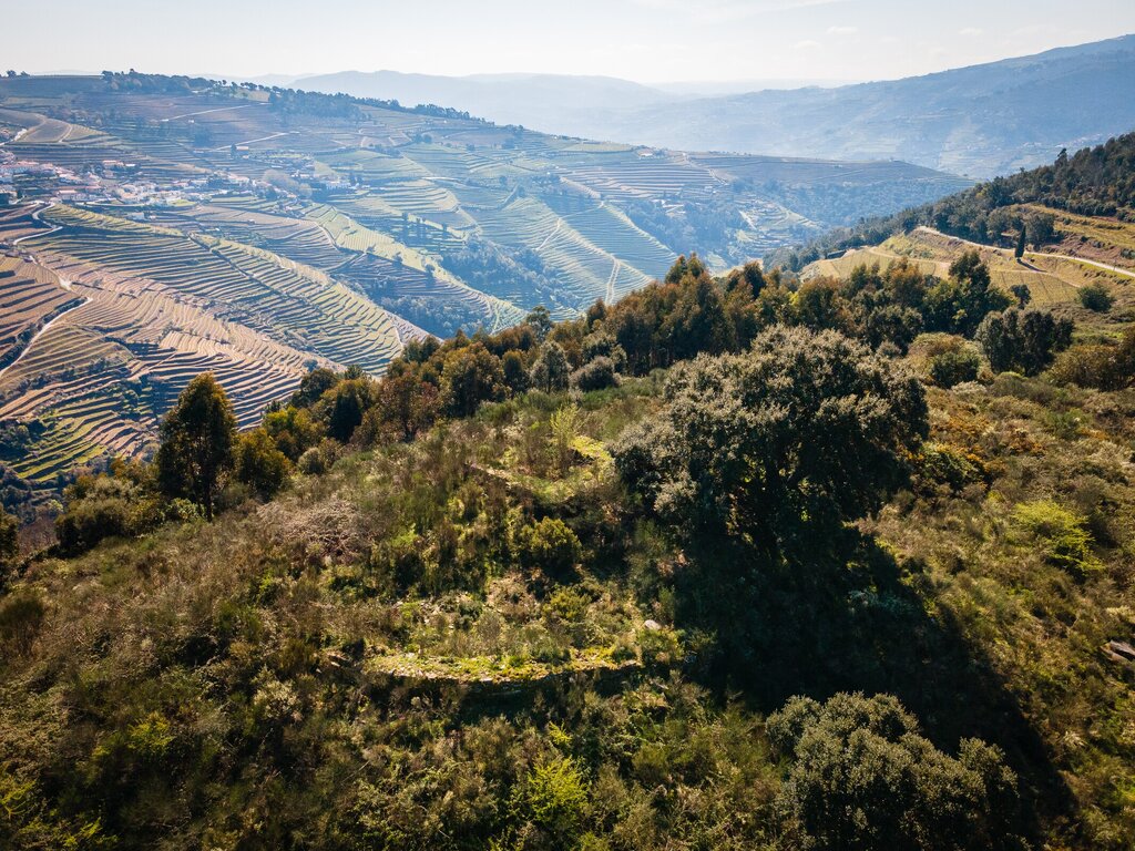 DJI_0187