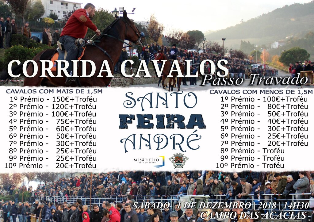 Corrida de Cavalos