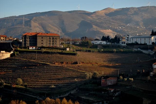 centro escolar