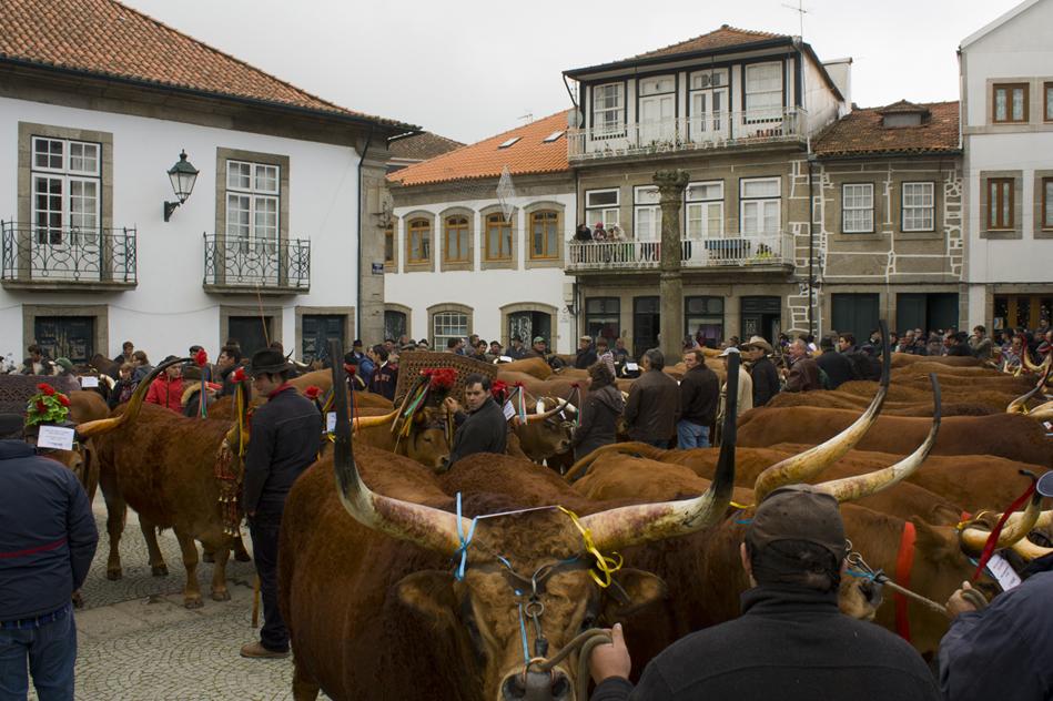 Feira 5