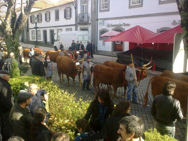 Desfile Pecuário