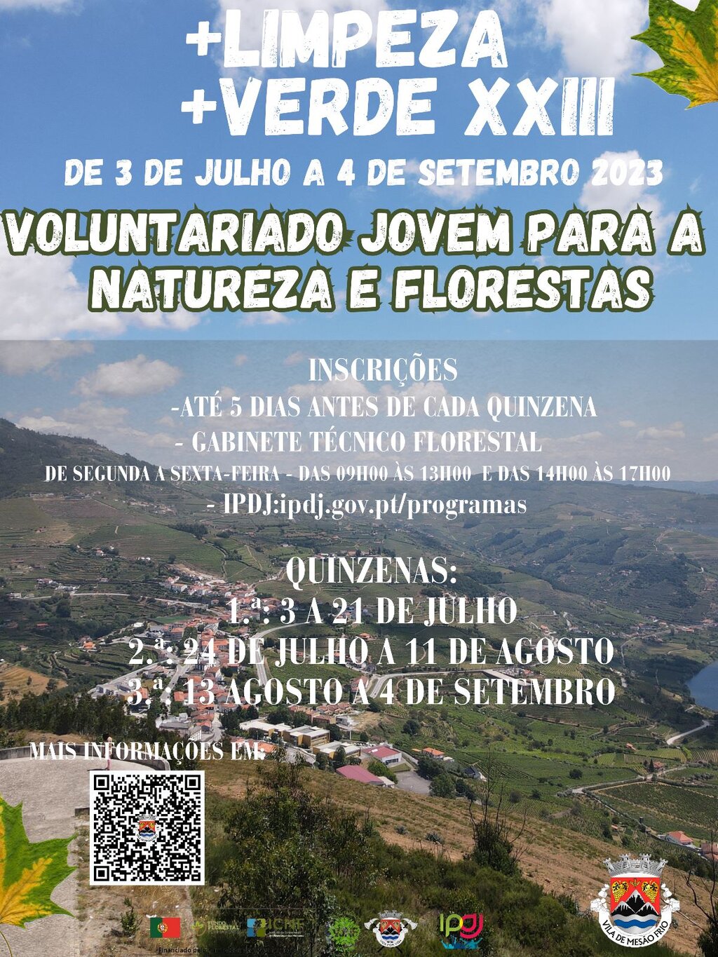 Voluntariado Jovem para a Natureza e Florestas 2023: inscrições abertas