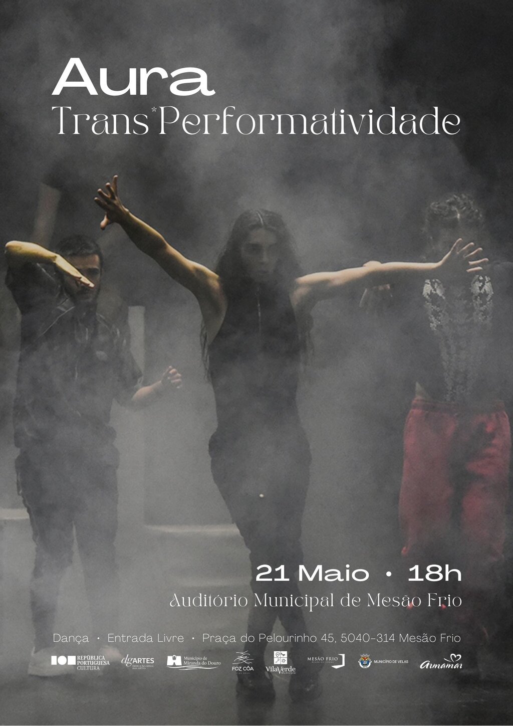 Trans*Performatividade