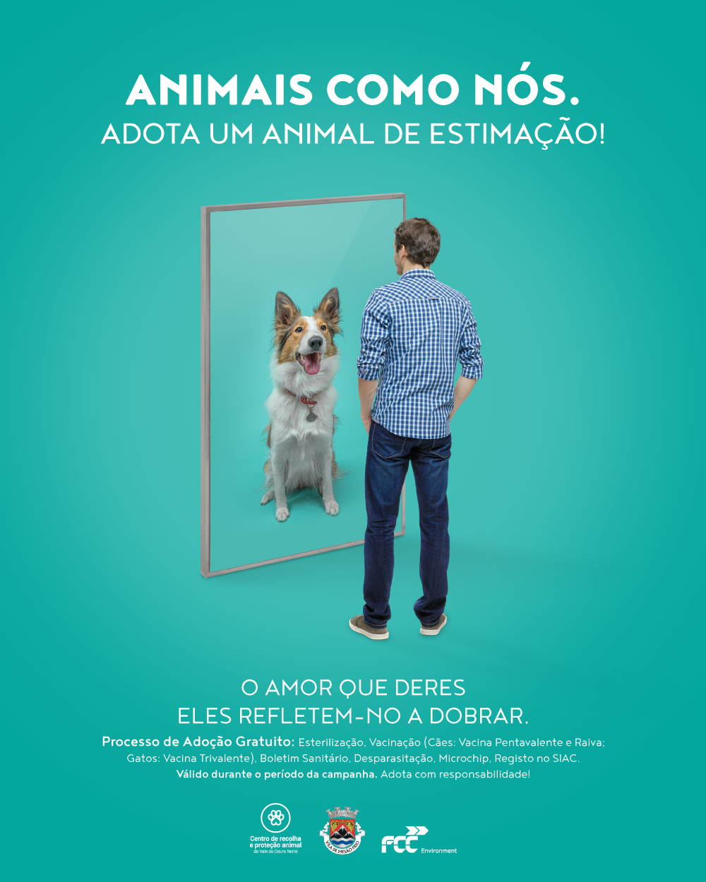 Mesão Frio é parceiro da campanha de adoção «Animais como nós»