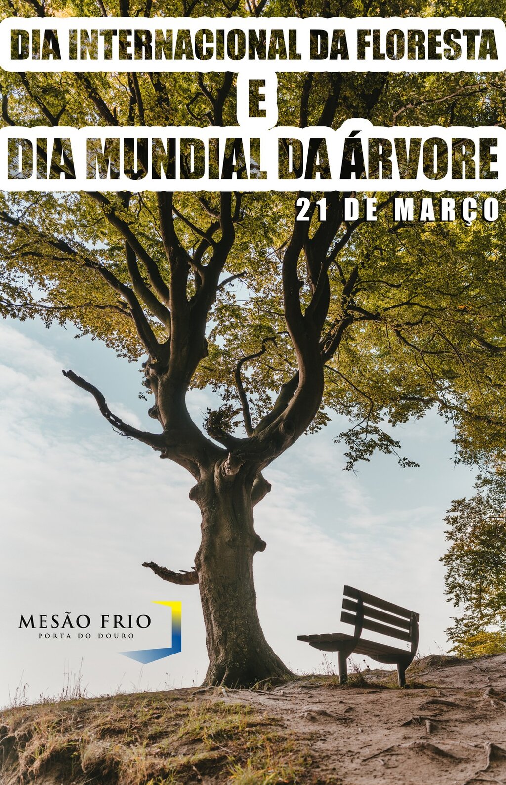 Dia Internacional da Floresta e Dia Mundial da Árvore