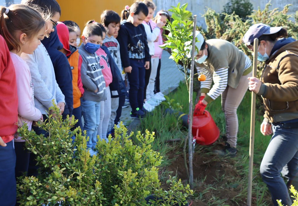 Centro Escolar de Mesão Frio assinalou Dia Mundial da Árvore 