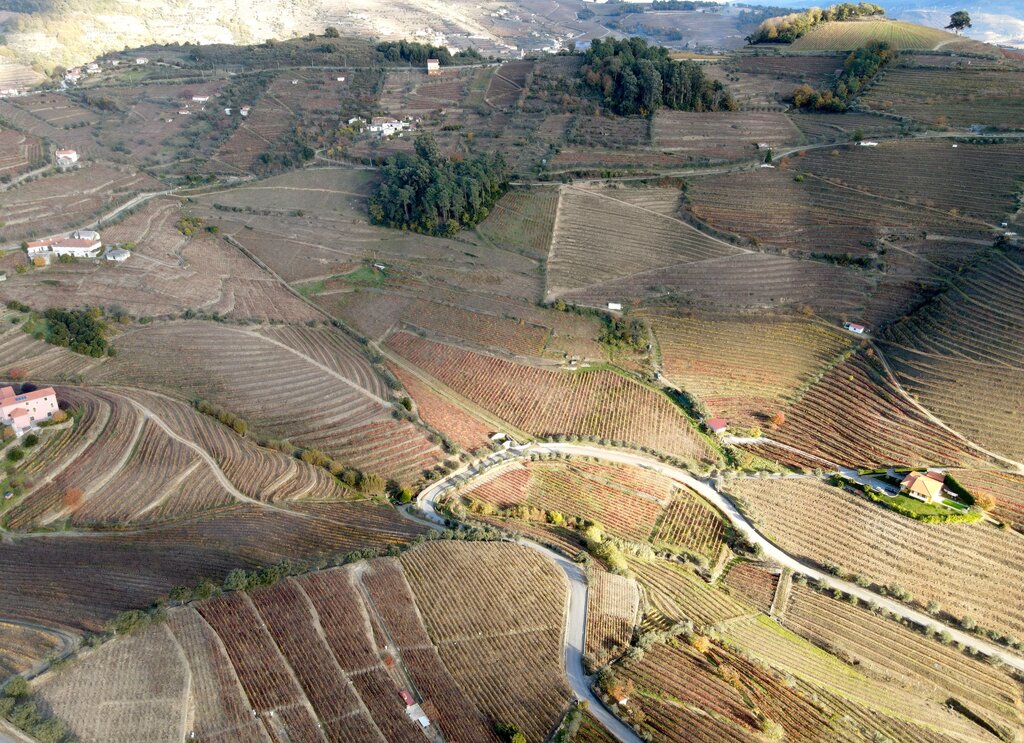 20 anos de Douro Património Mundial da Unesco