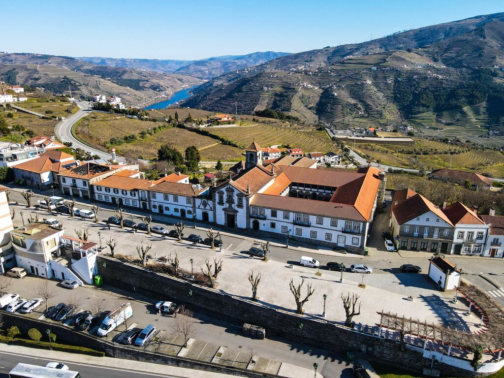 Autarquia de Mesão Frio executa limpeza e poda de árvores