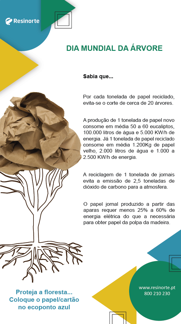 Dia Mundial da Árvore