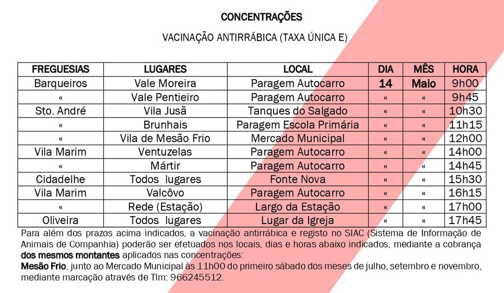 Campanha De Vacinação Antirrábica E Identificação Eletrónica 2022 