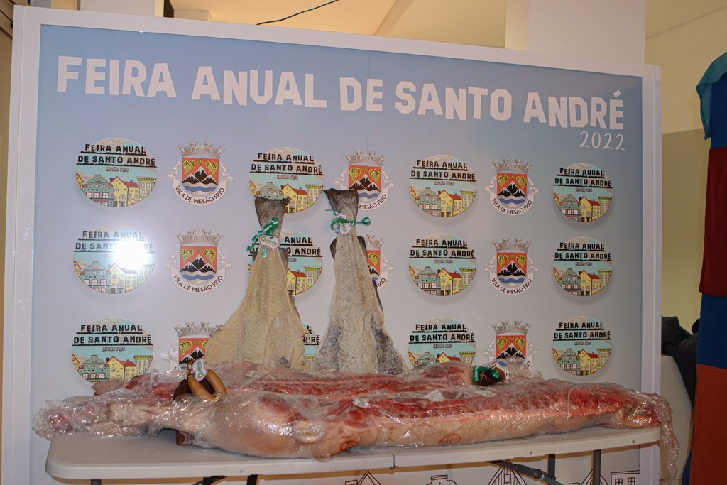 ACDVM realiza Torneio de Sueca na Feira Anual de Santo André