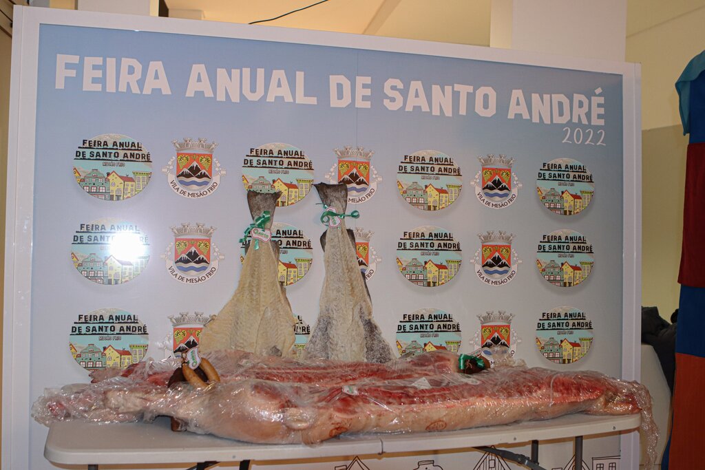 ACDVM realiza Torneio de Sueca na Feira Anual de Santo André