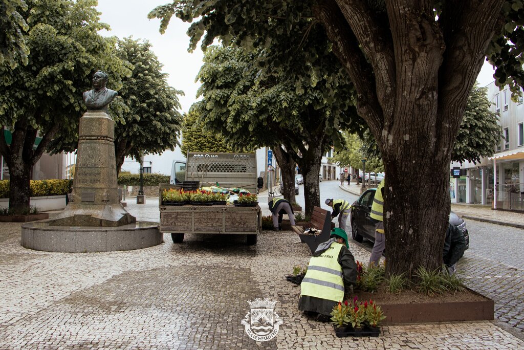 Espaços ajardinados com novas espécies de flores e plantas