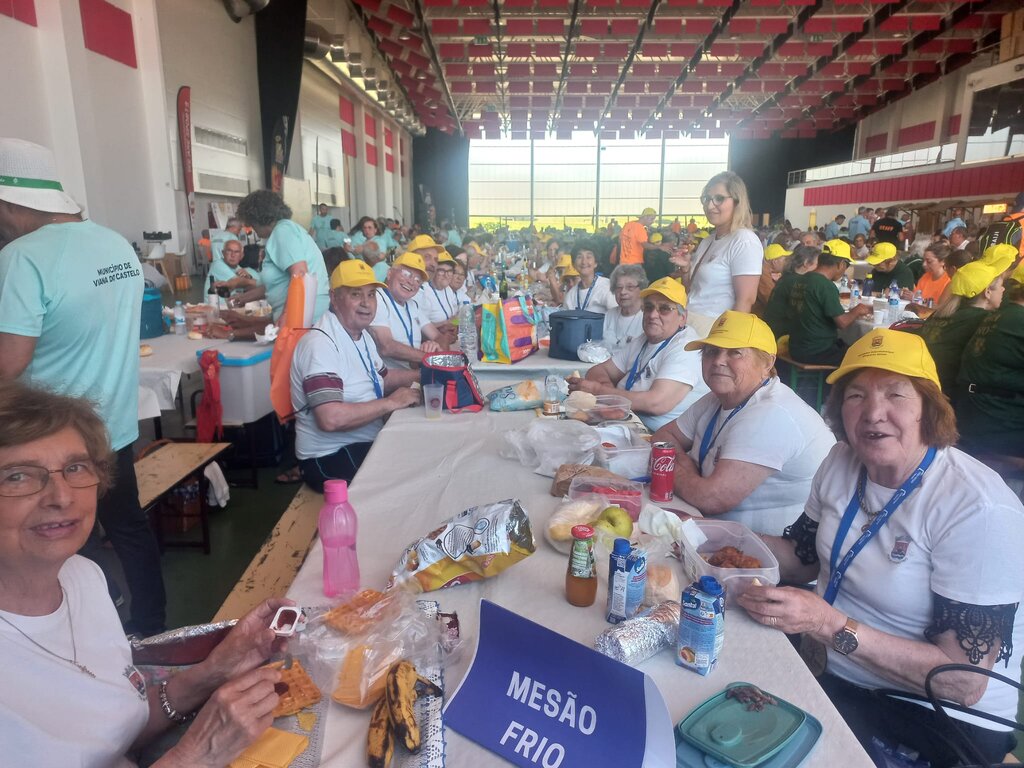 Ateliers (Re)viver e programa Viver Mais, Viver Melhor em Encontro Intermunicipal de Desporto Sén...