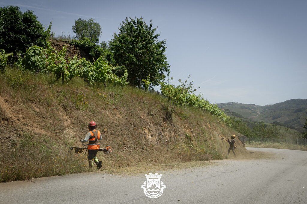 Limpeza e manutenção de estradas e caminhos municipais