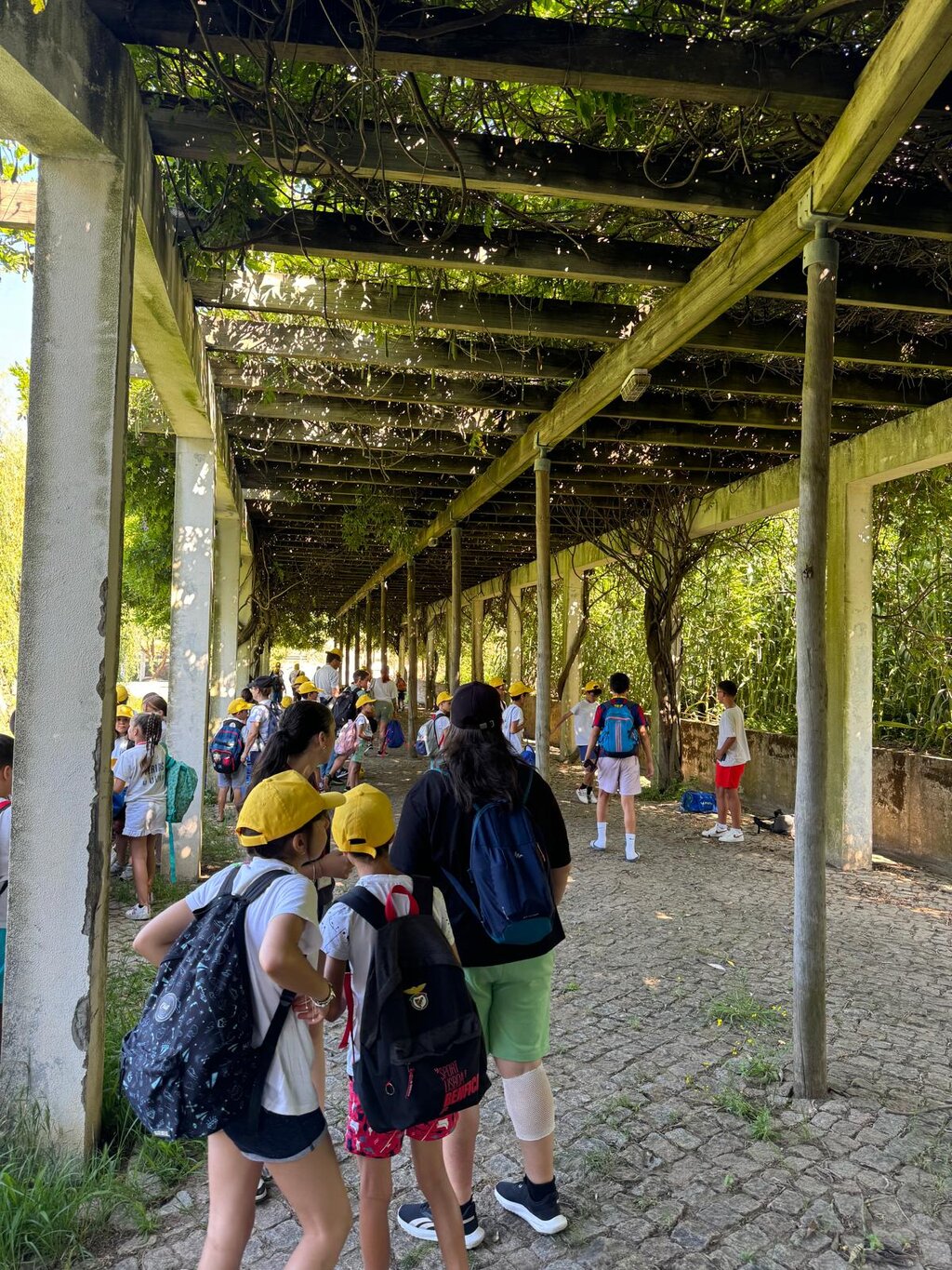 Férias D'Ouro arrancam com muita diversão
