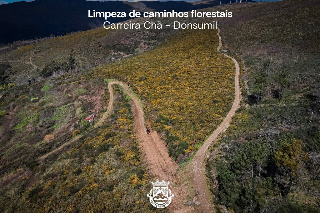 Intervenções dos serviços externos da Câmara Municipal de Mesão Frio