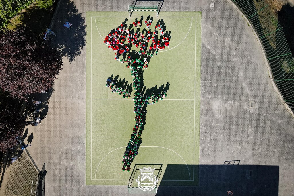 Crianças assinalam 25 de abril com Cravo Humano