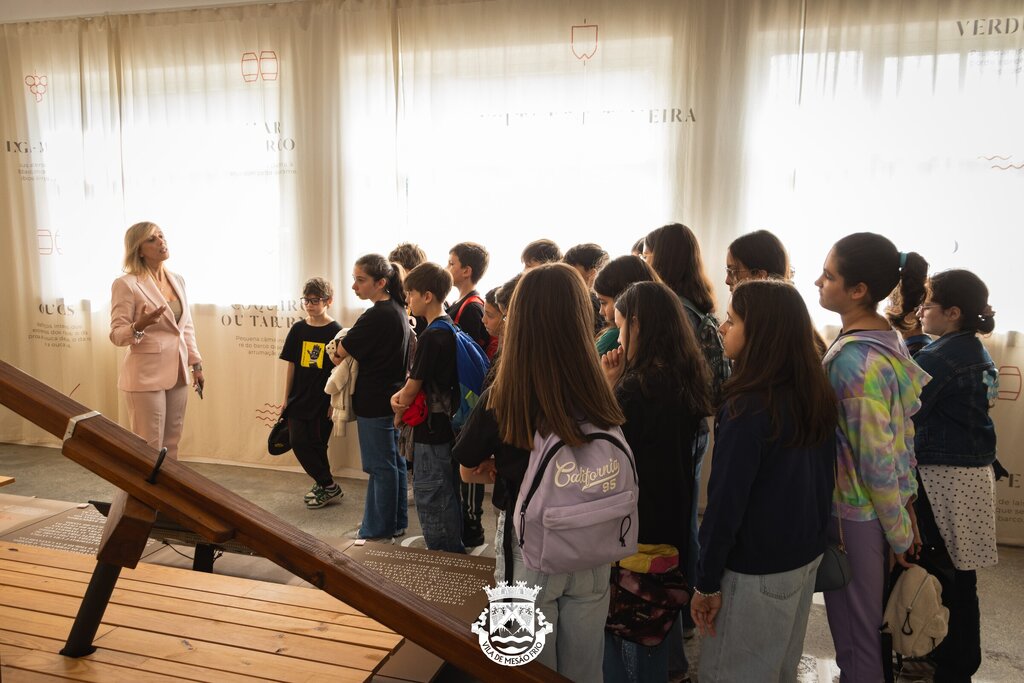 Alunos da Régua Viajam de Comboio até ao CIBAR