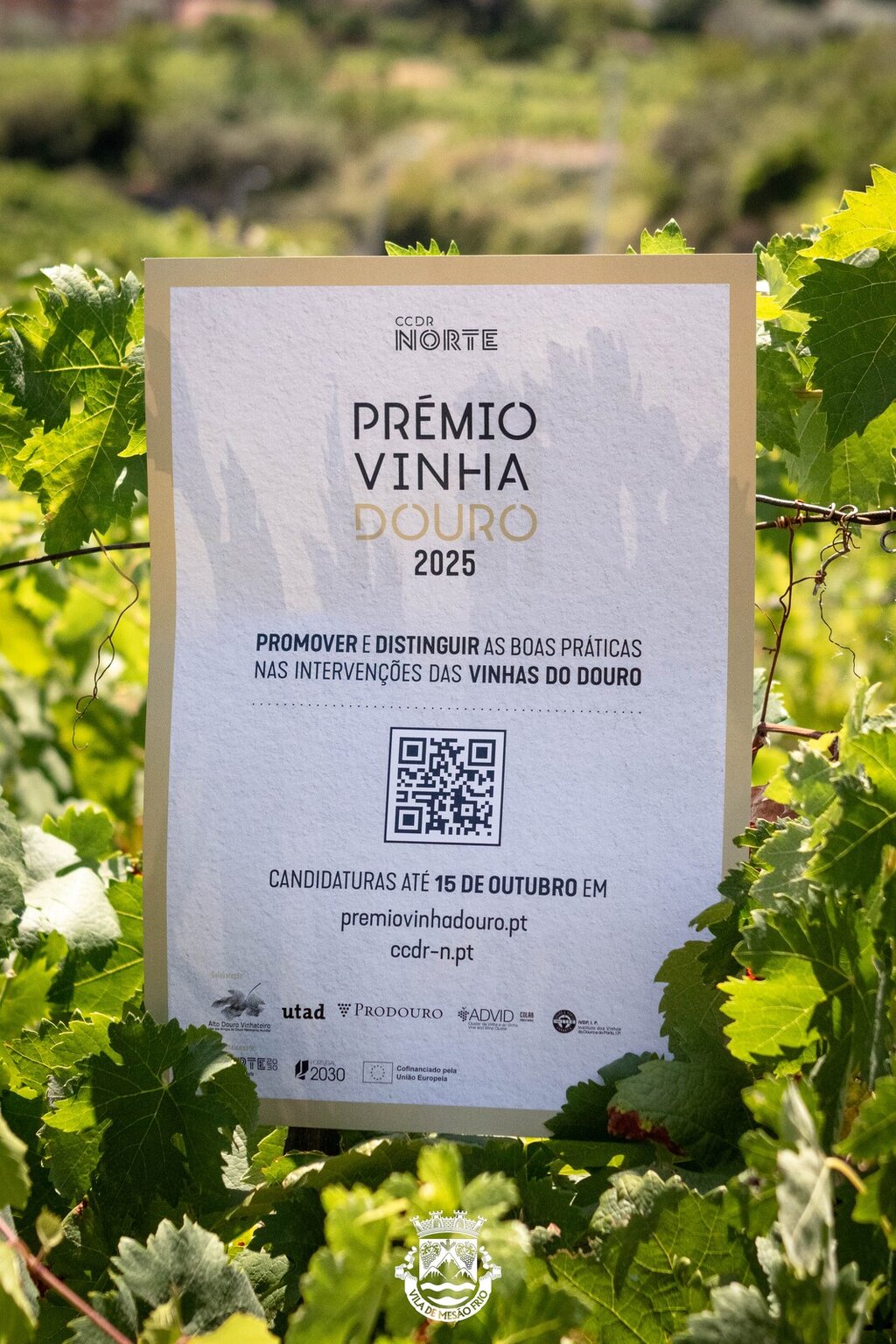 Abertas Candidaturas ao Prémio Vinha Douro 2025