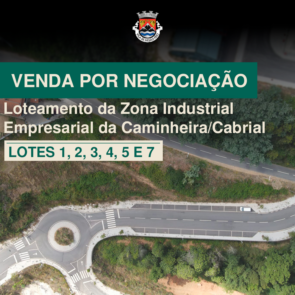 Lotes à Venda, por Negociação, na Zona Industrial da Caminheira/Cabrial