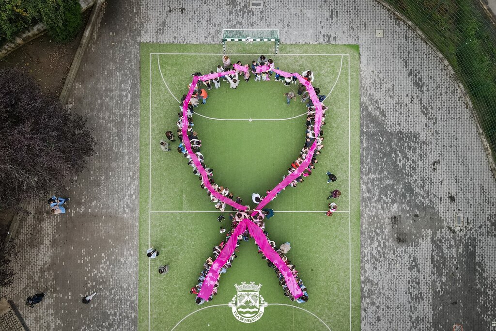 CPCJ e Centro Escolar de Mesão Frio assinalam Outubro Rosa