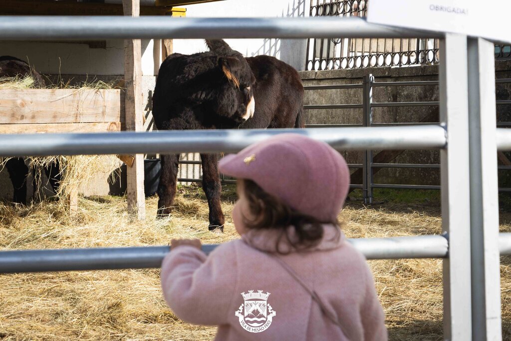 4.º Dia da Feira Anual de Santo André 2025 – Mercado Medieval