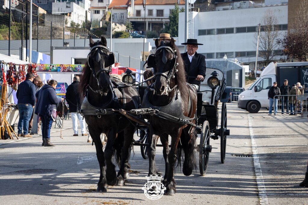 Encontro de Produtores Equinos | Feira Anual de Santo André 2025