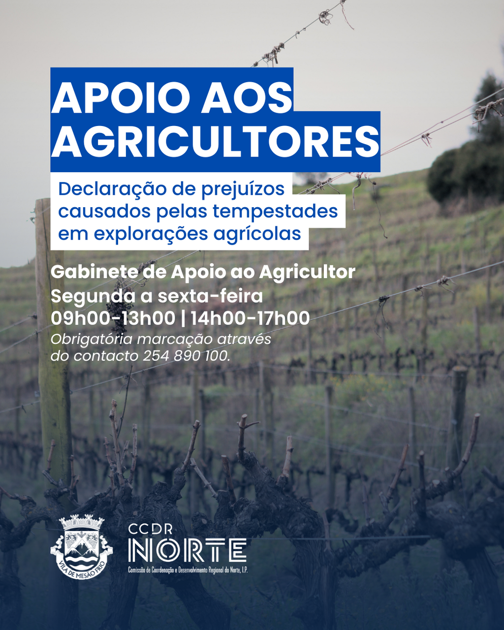 Município disponibiliza apoio na declaração de prejuízos aos agricultores